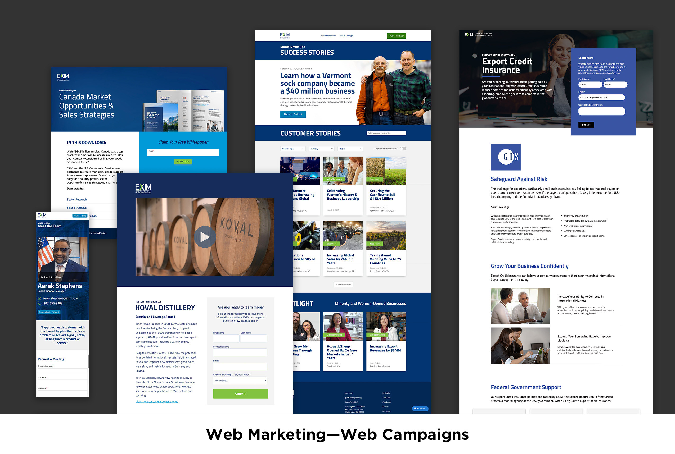 image of Exim Web2 Conversion 1