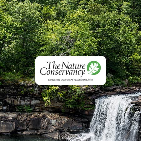 image of the The Nature Conservancy logo